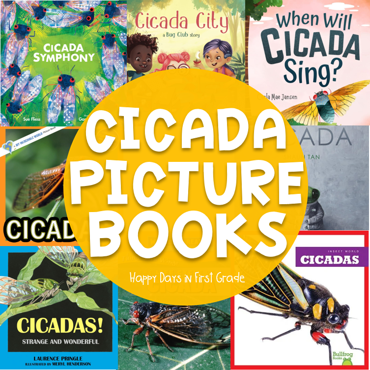 Cicada Picture Books | Happy Days in First Grade